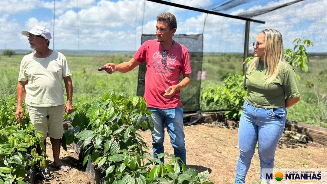 VISITA AO HORTO FLORESTAL DO ASSENTAMENTO FIDEL CASTRO EM MONTANHAS (3)