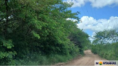 4 Melhoria na Pavimentação da Estrada do Campestre e Ponte da Passagem Molhada (4)