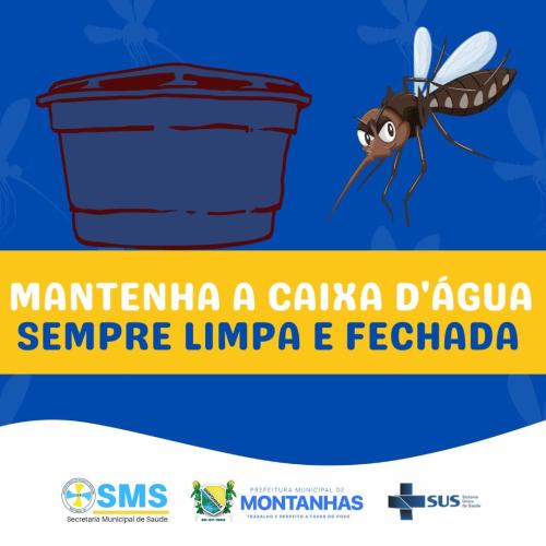 Combate à Dengue e ao Aedes Aegypti - 2024 (3)
